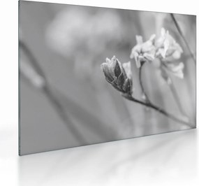 Tablou pe sticlă - Floare înflorită (70x50 cm)