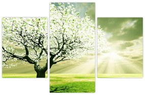 Tablou cu copaci pe luncă (90x60 cm)
