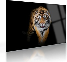 Tablou pe sticlă - Tiger (70x50 cm)