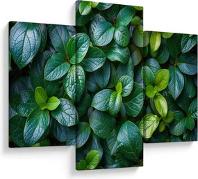 Tablou - Plante verzi (90x60 cm)