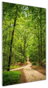 Tablou acrilic Calea în pădure