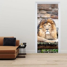 Fototapet pentru ușă - Leul (95x205cm)