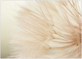 Tablou - Detaliu flori (70x50 cm)