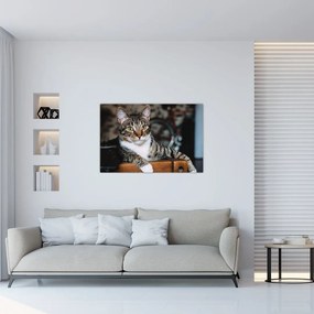 Tablou cu pisica (90x60 cm)