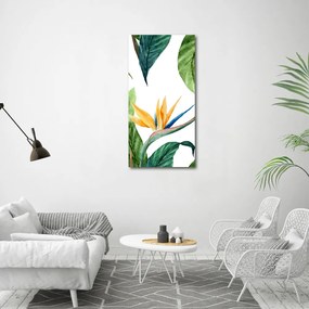 Tablou Printat Pe Sticlă Strelitzia reginae