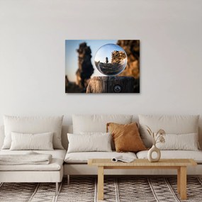 Tablou cu lupa și peisaj (70x50 cm)