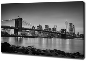 Tablou pe pânză canvas New york