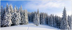 Tablou - Iarna in pădure (120x50 cm)