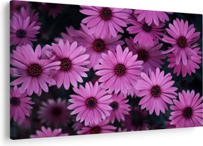 Tablou cu florile roz (90x60 cm)