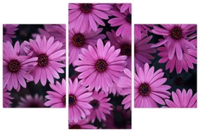 Tablou cu florile roz (90x60 cm)