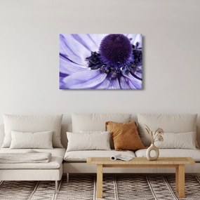 Tablou - Floare mov (90x60 cm)