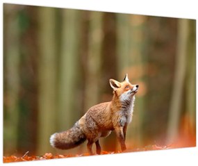 Tablou - Vulpe (90x60 cm)