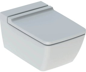 Set vas WC alb suspendat rimfree, spalare verticala cu capac soft close din duroplast, Geberit Xeno2