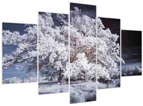 Tablou - Albă ca Zăpada Copac (150x105 cm)