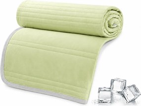 Pilota de vara racoritoare CELIA, verde Dimensiune: 200 x 220 cm