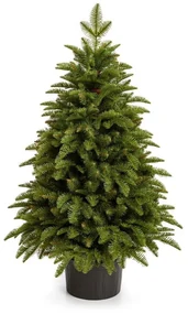 Brad de Crăciun artificial în ghiveci 3D Caucazian 80cm