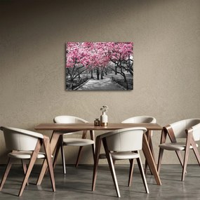 Tablou copacului magnolie (70x50 cm)