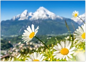 Tablou - Primăvara în Alpi (70x50 cm)