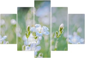 Tablou - Flori delicate (150x105 cm)