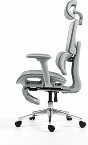 ErgoVanta Mesh — Scaun ergonomic, Suport lombar reglabil, Tetieră 2D, Cotiere reglabile, Mecanism cu blocare, Suport pentru picioare retractabil, Mesh, Gri
