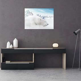 Tablou pe sticlă - Urs polar (70x50 cm)