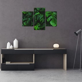 Tablou cu frunze Monstery (90x60 cm)