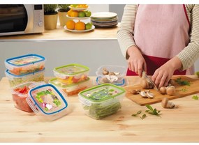 Set 2 cutii pentru alimente Snips, 0,6 l