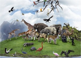 Tablou pe sticlă - Animale pe insulă (70x50 cm)