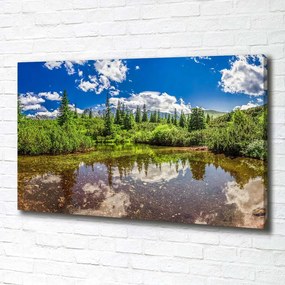 Tablou canvas Lacul în pădure
