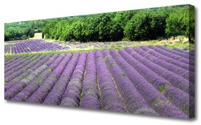Tablou pe panza canvas Meadow Flori Natura Verde Violet