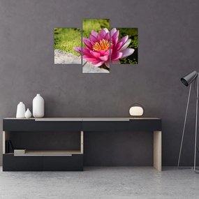 Tablou - Lotus (90x60 cm)