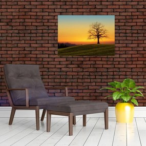 Tablou - Copacul în câmp (70x50 cm)