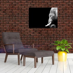 Tablou - Elefant (70x50 cm)