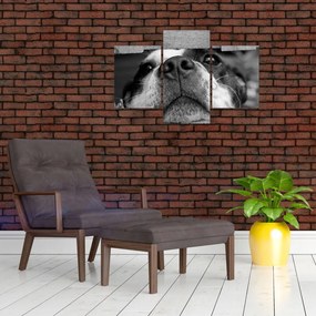 Tablou cu câine (90x60 cm)