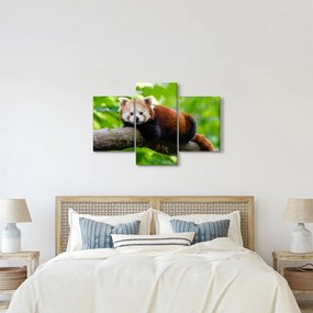 Tablou cu panda roșie (90x60 cm)