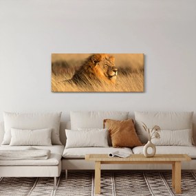 Tablou - Parcul Național Etosha (120x50 cm)