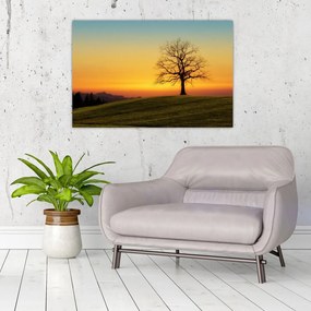Tablou - Copacul în câmp (90x60 cm)