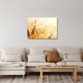 Tablou- detaliu cu (70x50 cm)