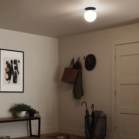 Kichler KL-ALBERS-F-G-BK - Plafonieră ALBERS 1xE27/40W/230V Ø 20,3 cm neagră