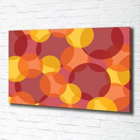 Tablou canvas Cercuri colorate