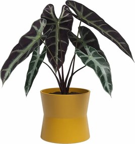 Ghiveci din ceramică ø 14 cm Diana – Artevasi