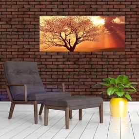 Tablou cu razele lui Dumnezeu (120x50 cm)