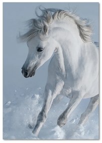 Tablou pe pe sticlă cal alb în galop