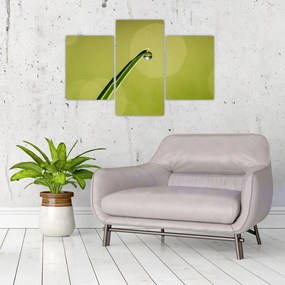 Tablou cu picătură de apă pe iarbă (90x60 cm)