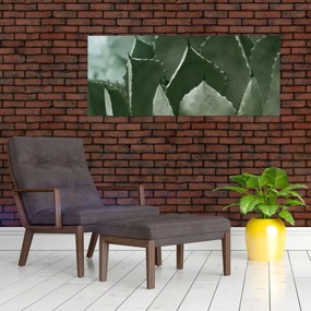 Tablou - Agave verde (120x50 cm)