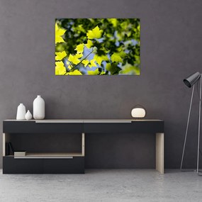 Tablou - frunze de arțar (90x60 cm)