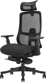 T3F-BHL – Scaun Ergonomic Premium cu Spătar Înalt Regalbil pe înălțime în 5 poziții, Șezut glisant, Cotiere 3D, Suport pentru picioare, Mesh, Negru