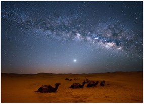 Tablou - Noapte in deșert (70x50 cm)