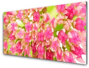 Tablouri acrilice Floare roz Floral