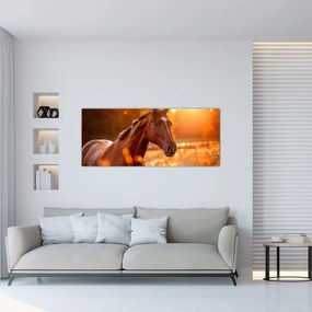 Tablou - Cal în apus de soare (120x50 cm)
